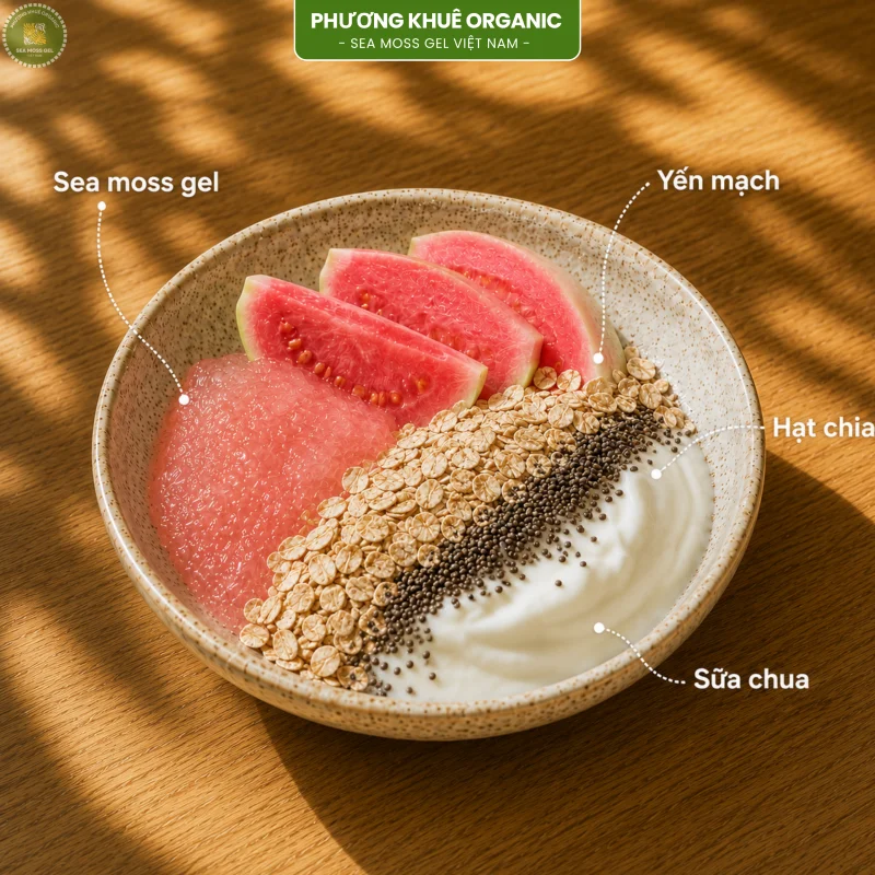 Sea Moss Gel yến mạch, hạt chia